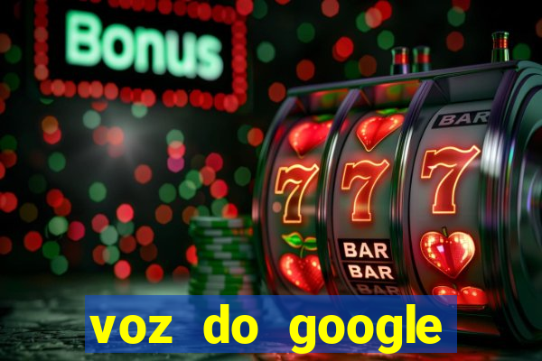 voz do google tradutor homem